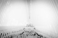 Oculus New York