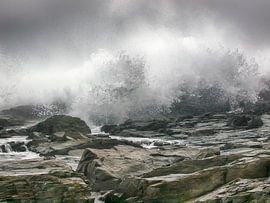 Waves by Alexander Koenders