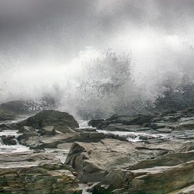 Waves van Alexander Koenders