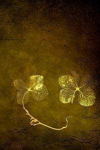 Hortensie. Grün mit Bronze. Minimalismus. von Alie Ekkelenkamp