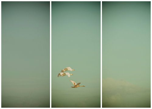 lauwersmeer triptychon 21