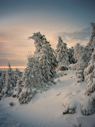 Zonsopgang bij de Brocken-top in het Harzgebergte