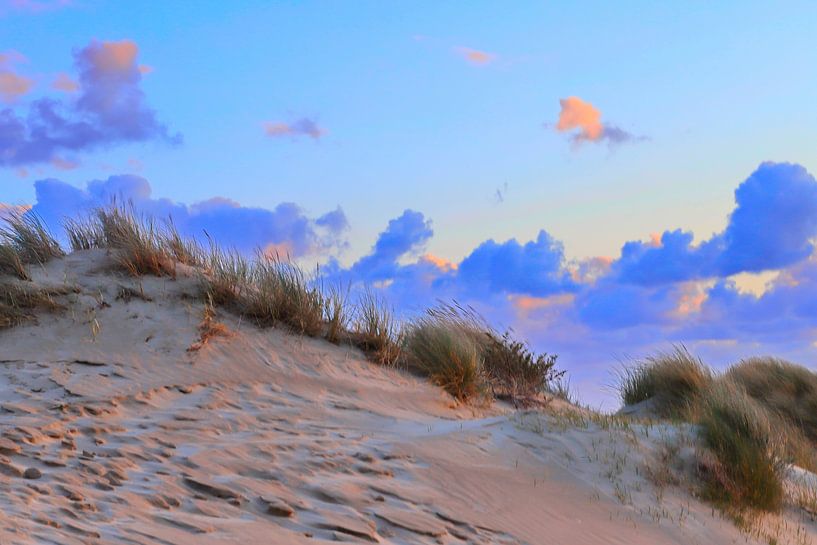...sand dune with beautiful air... by Micky Bish