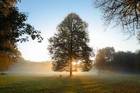 Clingendael estate