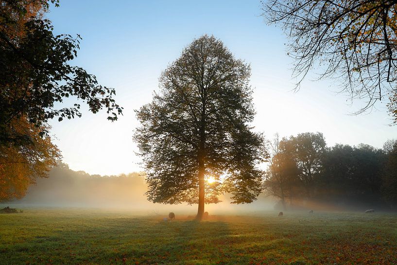 Landgut Clingendael von Celine