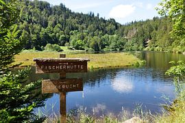 Nonnenmattweiher- in the Black Forest 1.0 by Ingo Laue