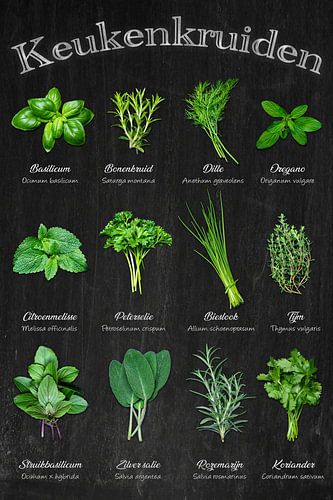 Keukenkruiden - Kitchen classics at a glance / Nederlandse