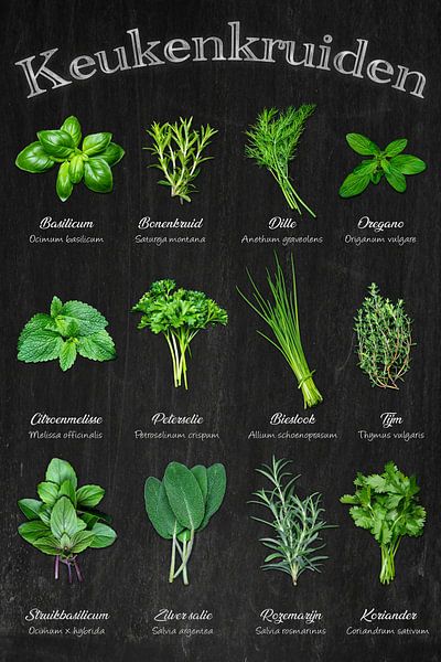 Keukenkruiden - Kitchen classics at a glance / Nederlandse by Photo Art Thomas Klee