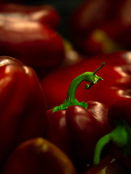 Paprika steeltje