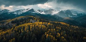 Geheimnisvolle Herbststimmung