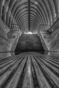 Traphal in het Station Luik-Guillemins van Steve Mestdagh