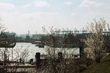 Lente aan de steigers van Marc Heiligenstein