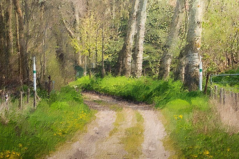 Forest trail on estate Matthemburgh in Bergen op Zoom (art) by Art by Jeronimo