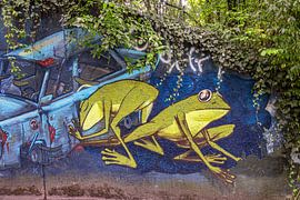 Bavaria : Frogs by Photoart-Naegele