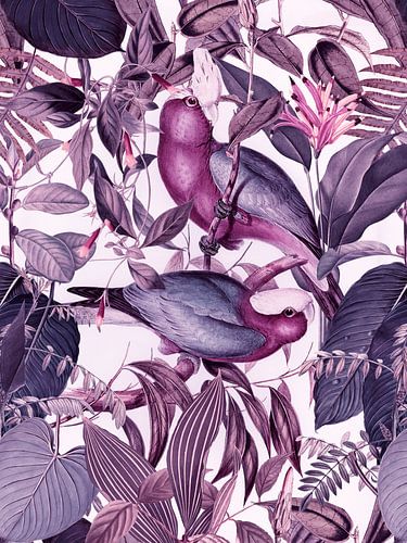 Parakeets In Tropical Paradise by Andrea Haase