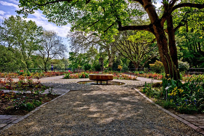 Herzogspark Regensburg von Roith Fotografie
