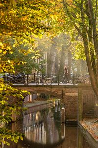 Herfst wandeling door utrecht
