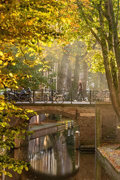 Herbstlicher Spaziergang durch Utrecht von zeilstrafotografie.nl