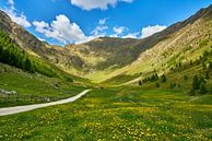 Lente in de Altfass vallei in Zuid-Tirol van Reiner Würz / RWFotoArt thumbnail