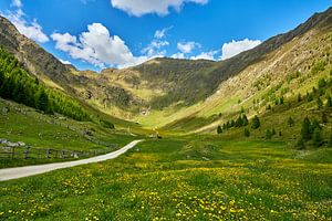 Printemps dans la vallée de l'Altfass dans le Tyrol du Sud