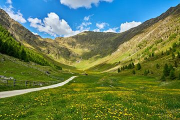 Spring in the Altfass Valley in South Tyrol by Reiner Würz / RWFotoArt