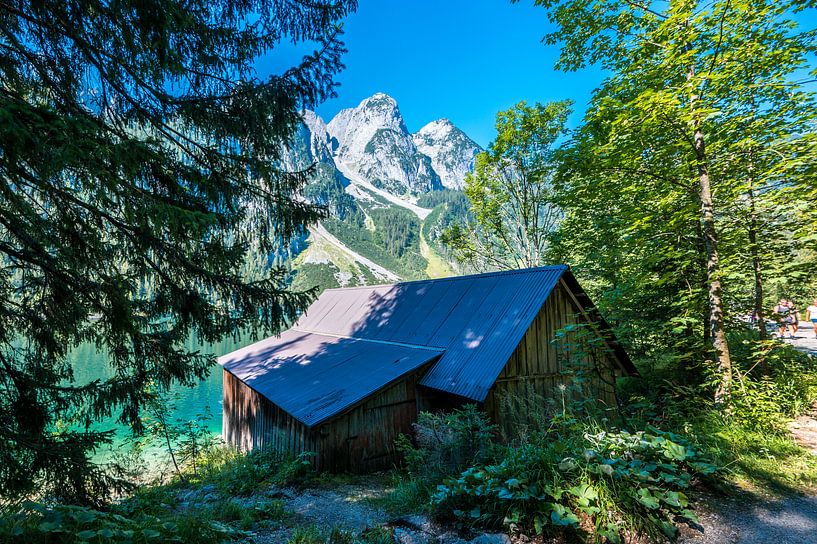 Ferienhaus Gosausee von Peter Deschepper