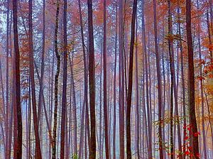 Nachkommen (Nachkommen mit Re-Farben)