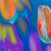 popart tulp van Dietjee FoTo