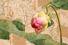 Botanical Mixed Media Art: Oriental Lotus Flower in Bud by Studio Pieternel