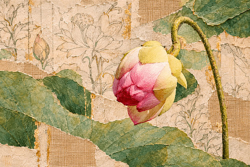 Art botanique en techniques mixtes : fleur de lotus orientale en bouton
