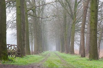 Misty path through the forest van Arjen Tjallema
