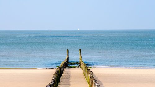 Zomer in Zeeland, palenrij op het strand van Westkapelle (panorama)