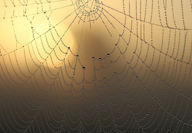 Lever de soleil par Matthias Brix