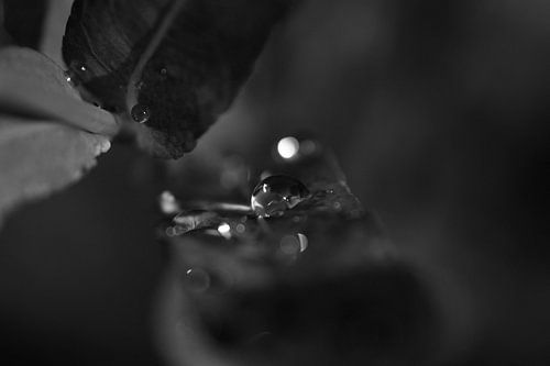 une goutte de pluie brillante