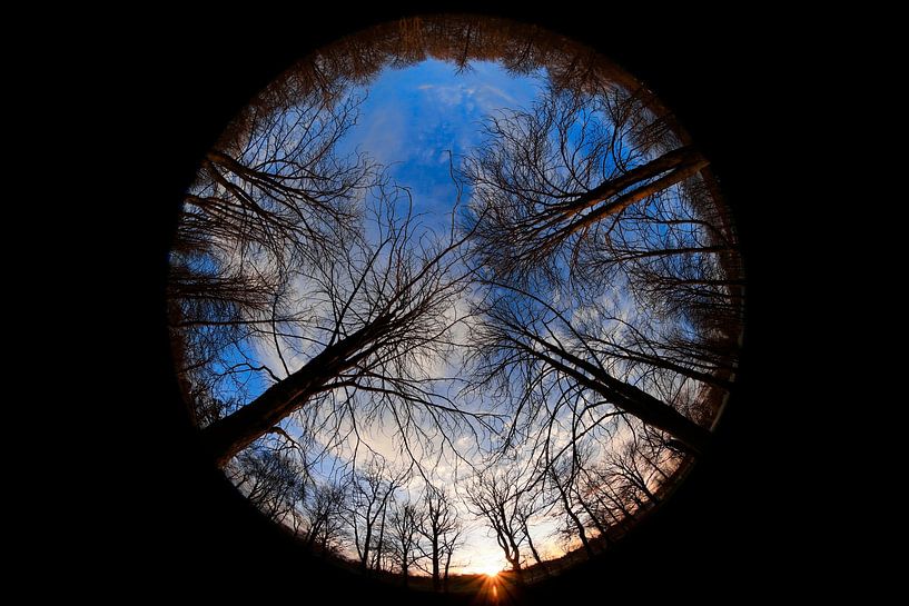 Regard vers le ciel un soir d'hiver par Thomas Jäger