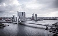 Rotterdamer Erasmus-Brücke von Rftp.png Miniaturansicht