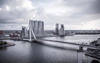 Rotterdam erasmus bridge