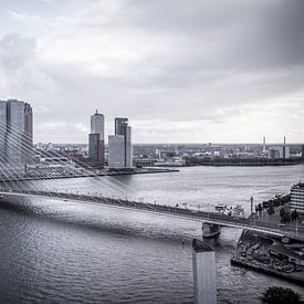 Le pont Erasmus de Rotterdam sur Rftp.png