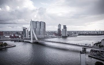 Rotterdam erasmus bridge by Rftp.png