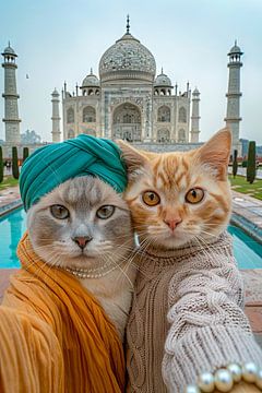 Monumentaal gemiauw: Elegant kattenpaar voor de Taj Mahal van Felix Brönnimann