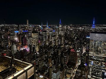 Skyline Manhattan von oben von Robert Styppa
