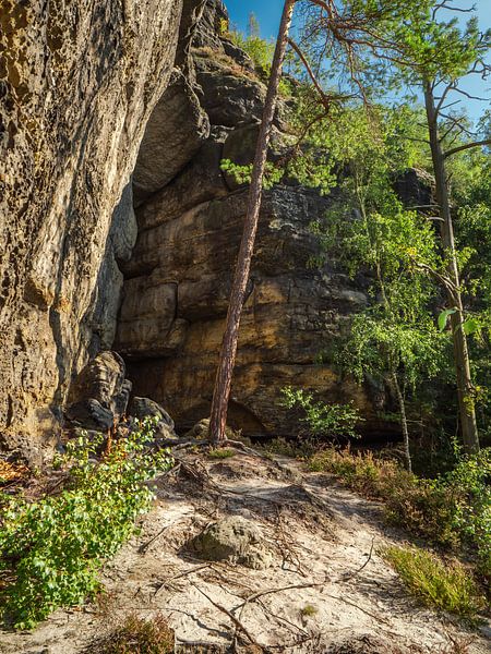 Pechofenstein, Sächsische Schweiz - Felsterrasse und Felswand von Pixelwerk