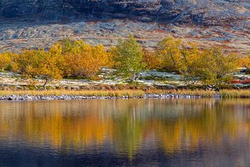 Dørålen Herbst von Sven-Erik Arndt