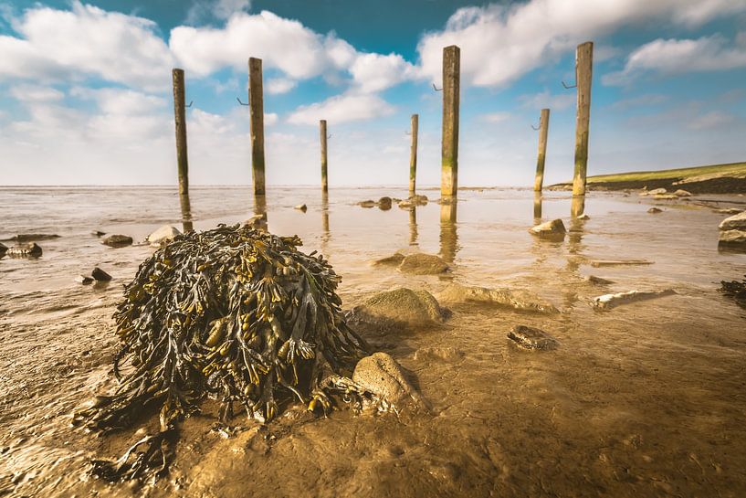 Ancienne île de forage Dyksterhusen par rosstek ®