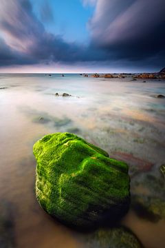 Barrika Strand van Arnaud Bertrande