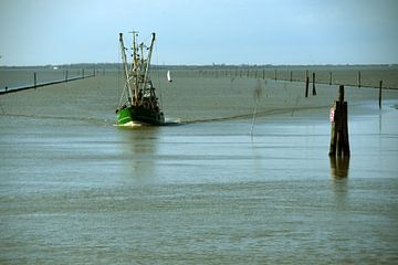 FiFischerboot sailing towards Bensersiel 2023 by Karl-Heinz Petersitzke