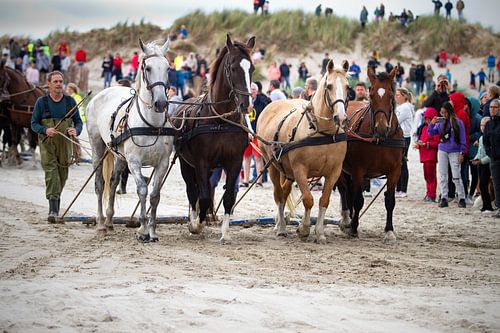 Pferderettungsboot Ameland von Rosalie Elema