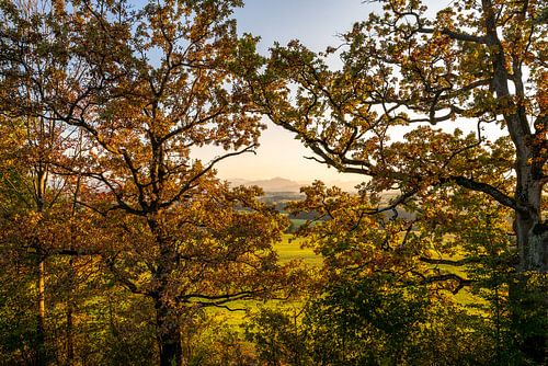 Herfstbomen met een klein uitzicht op de Grünten