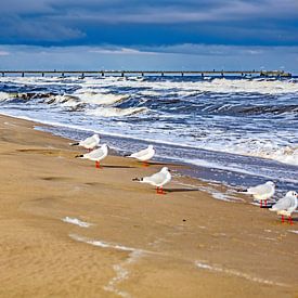 Vague de novembre sur la plage de la Baltique sur Holger Felix