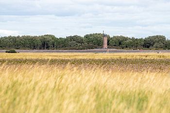 Salzwiese am Böhler Leuchtturm